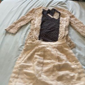 Ann Taylor NWT 10P sheer cream over lay skirt.